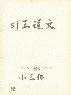 sj王道文