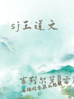 sj王道文
