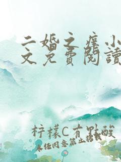 二婚之痒小说全文免费阅读