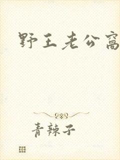 野王老公窝