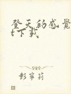 登天的感觉txt下载