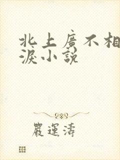 北上广不相信眼泪小说