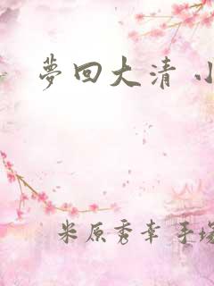 梦回大清 小说