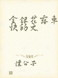 金银花露车速最快的文