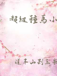 超级种马小说