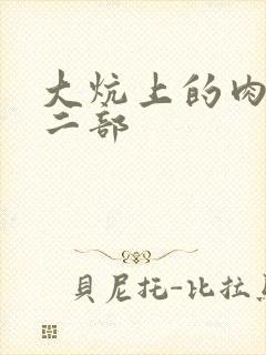 大炕上的肉伦第二部