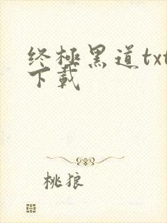 终极黑道txt下载