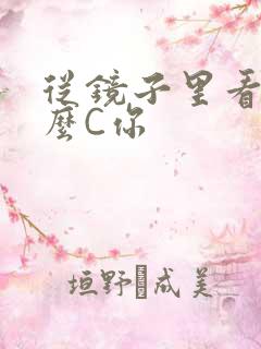 从镜子里看我怎么C你