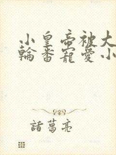 小皇帝被大臣们轮番宠爱小说