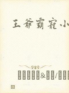 王爷霸宠小甜妻