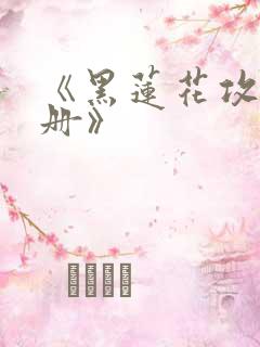 《黑莲花攻略手册》