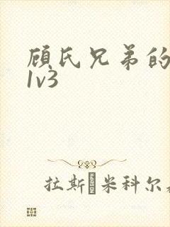 顾氏兄弟的南宁1v3