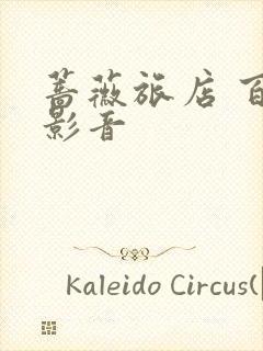 蔷薇旅店 百度影音