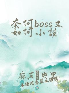奈何boss又如何小说