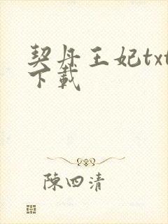 契丹王妃txt下载