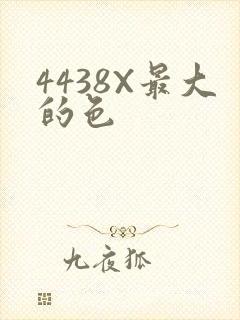 4438X最大的色
