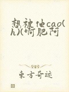 想被他cao(h)(啊肥阿