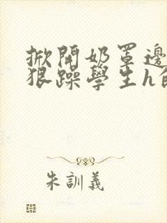 掀开奶罩边躁狠狠躁学生h的小说