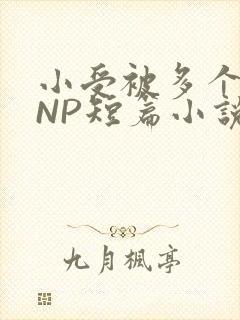 小受被多个攻强NP短篇小说
