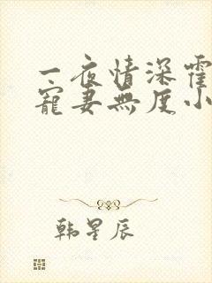 一夜情深霍先生宠妻无度小说免费阅读