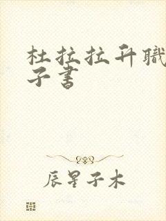 杜拉拉升职记电子书