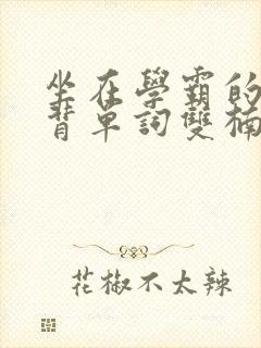 坐在学霸的棍子背单词双楠