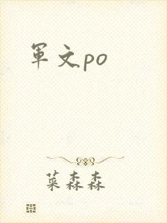 军文po