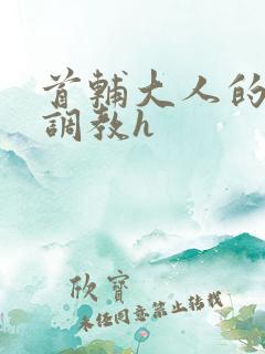 首辅大人的花式调教h