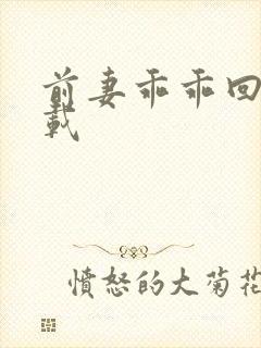 前妻乖乖回来下载