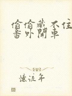 偷偷藏不住婚后番外开车