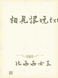 相见恨晚txt