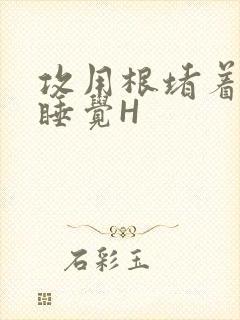 攻用根堵着小受睡觉H