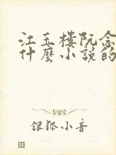 江玉楼阮念笙是什么小说的名字