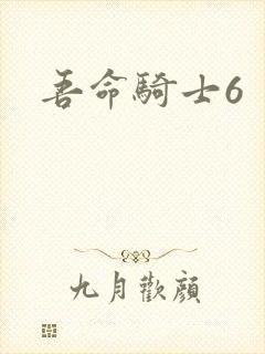 吾命骑士6