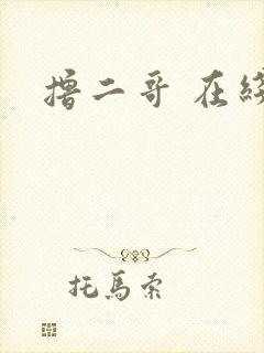 撸二哥 在线