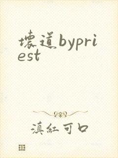 坏道bypriest