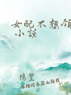 女配不想领便当 小说