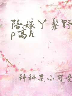 陪嫁丫鬟野外np高h