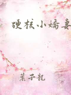 硬核小娇妻