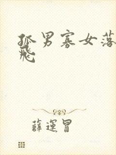 孤男寡女落瑛纷飞