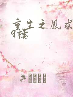 重生之凤求凰19楼