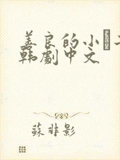 善良的小峓子2韩剧中文