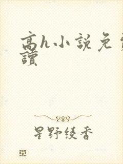 高h小说免费阅读