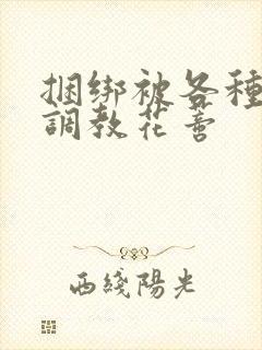 捆绑被各种工具调教花蒂