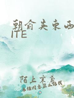 朝俞夹东西WRITE