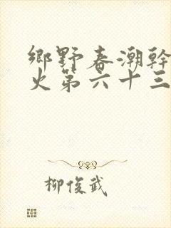 乡野春潮干柴烈火第六十三章