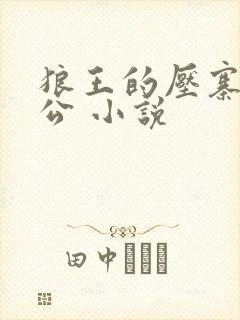 狼王的压寨小相公 小说