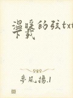 温暖的弦txt下载