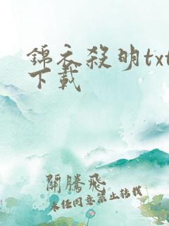 锦衣杀明txt下载