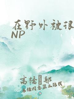 在野外被很多人NP